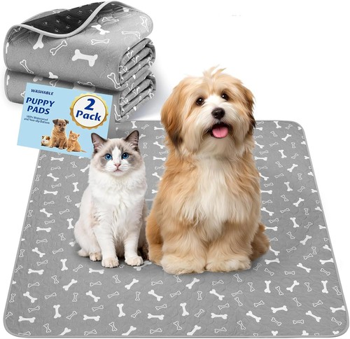 Baodan traverse cani 2pc - traverse, cani,
