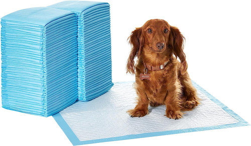 Tappetini assorbenti per cani - assorbenti,