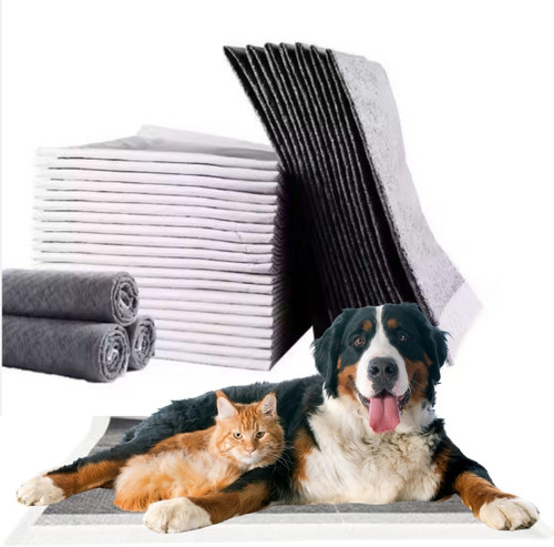 Traversine per cani - cani, carbone